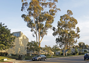 Community Photo